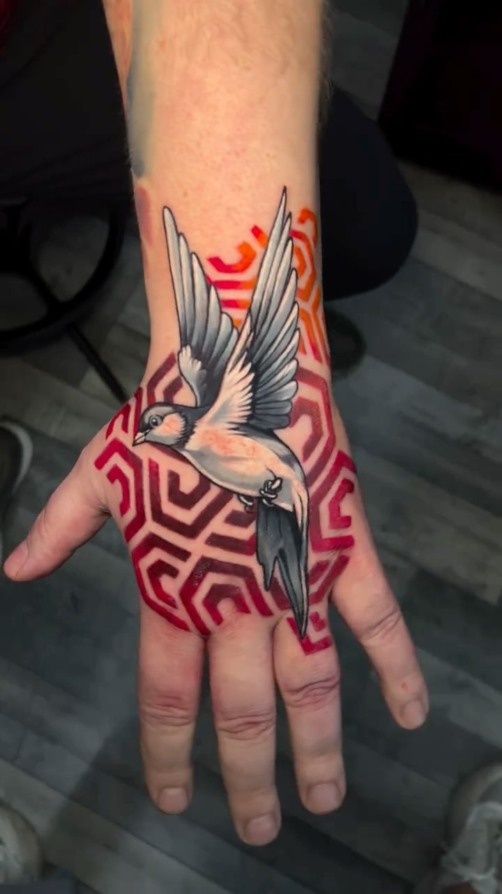 This piece by @mariusz_detka_tattoo is high-contrast hand tattoo featuring a dynamic flying bird over a geometric red pattern. 

The smooth grey shading of the bird pops beautifully against the vibrant, modern background, giving the whole design a powerful sense of movement and depth.

If you want colour work that really stands out, Mariusz is the guy to visit — his colour pieces hit hard and stay sharp. Let him take your idea and turn it into something unforgettable.

#goldenhandstattoo #uk #liverpool #liverooltattoostudio #liverpooltattoos #liverpooltattoos #tattoostyle #insta #instagram