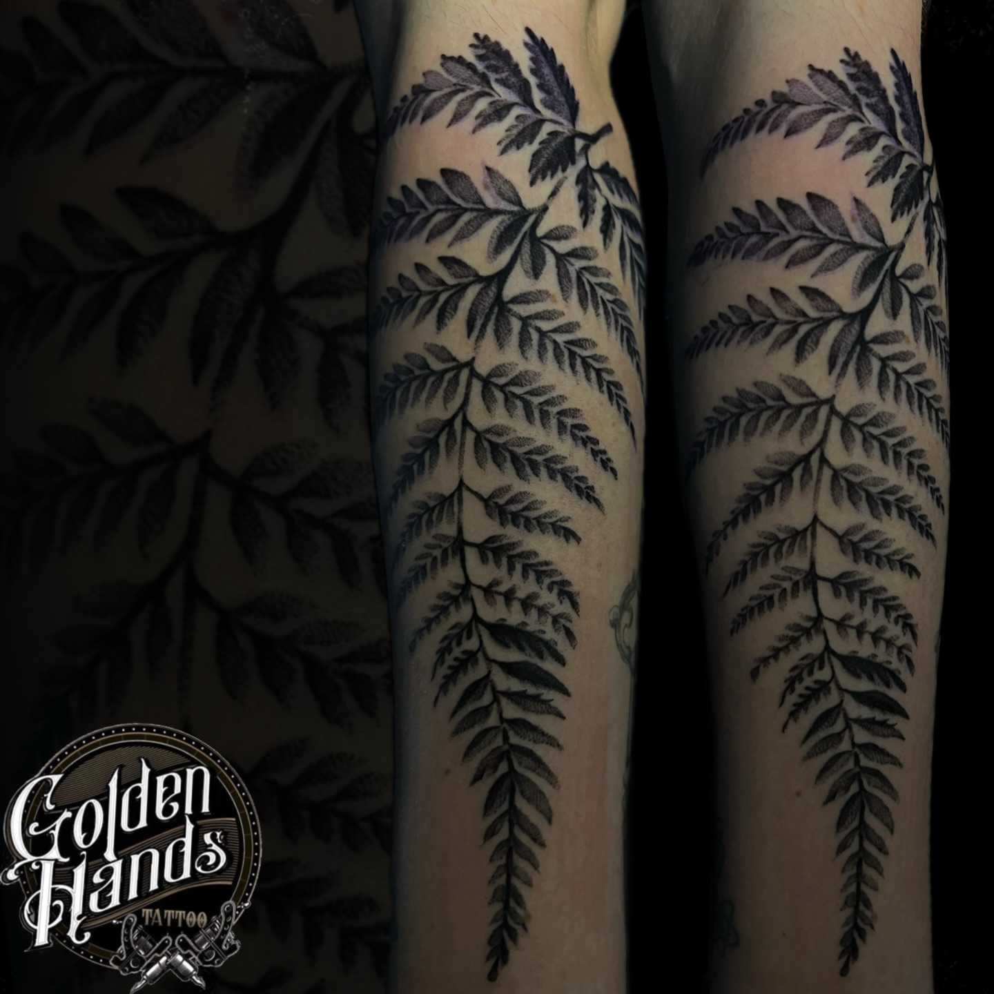Beautifully detailed fern tattoo with smooth shading and elegant flow — created by @notthenormtattoo 
If you love fine, nature-inspired work like this, Beth is definitely the artist to book with!

#goldenhandstattoo #tattoo #instagram #tattootome #ink #liverpooltattooartist #liverpooltattoo